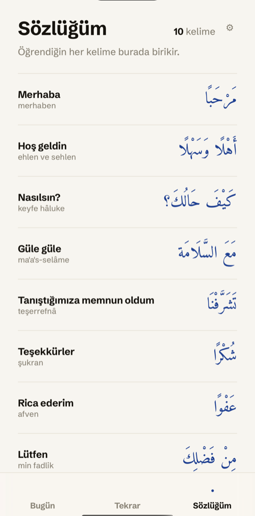 Sözlüğüm ekranı — öğrenilen kelimeler listesi
